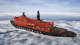 Russian icebreaker fleet decades ahead of rivals – Putin