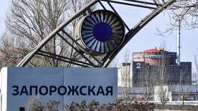 Moscow demands IAEA action over ‘terrorist’ killing of nuclear plant staff