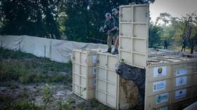 Nine white rhinos arrive in Mozambique (VIDEO)